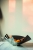 105003_margarethe_schale_mood1.jpg