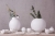 CTLG_Katalog-Kollektion-2019-Moods_LIVING_Seite_017_1.jpg