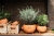 CTLG_Katalog-Kollektion-2020-Moods_LIVING_Seite_048.jpg
