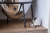 273033_tambo_handyhalter_mood_3.jpg
