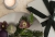 64617_mood_03.jpg