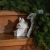 C92653_3.jpg
