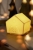 C92888_4.jpg